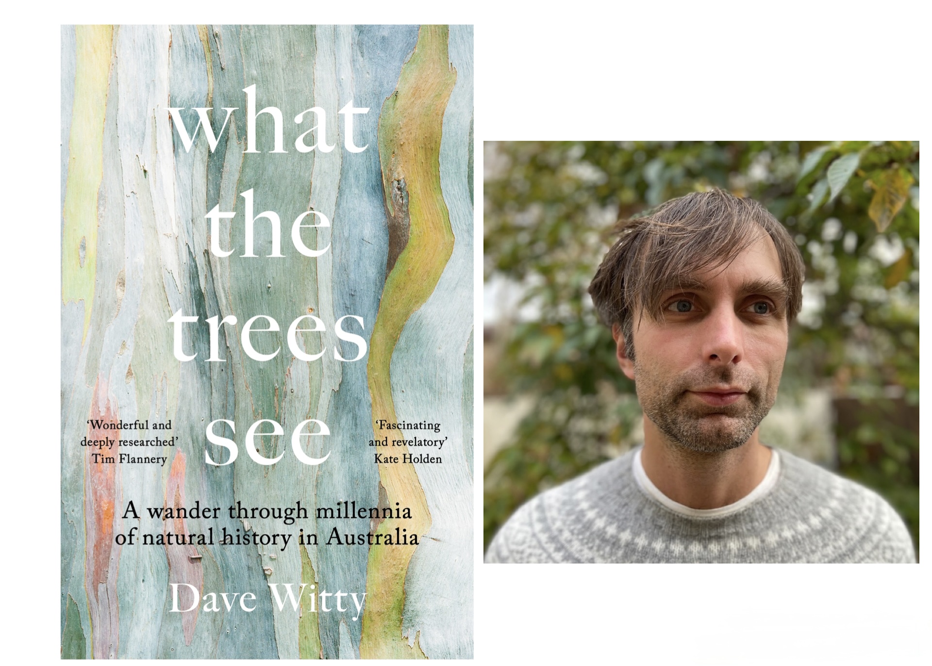What The Trees See: A Talk By Author Dave Witty – Sunday Feb 8th 2026